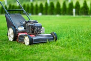 Lawn mowing contractors